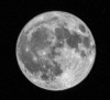 Full Moon (Photo by Mackenzie Lowe)